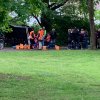 Parkputz 2019